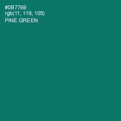 #0B7769 - Pine Green Color Image